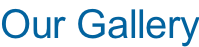 Our Gallery